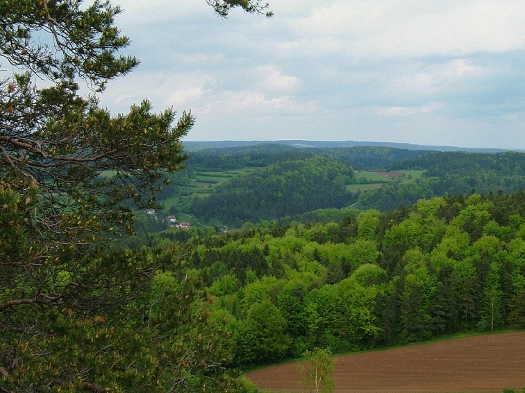 Lichtenegg_Panorama_2