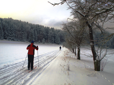 Lichtenegg_Ski-Langlauf-Loipen_Rodeln_Rodelhang